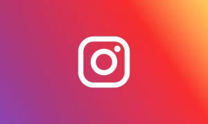 Buy Instagram Likes for Rapid Growth